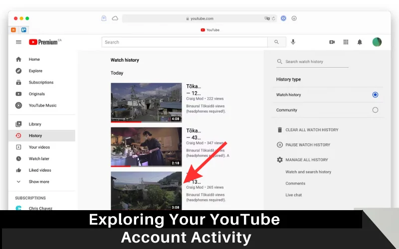 Exploring Your YouTube Account Activity