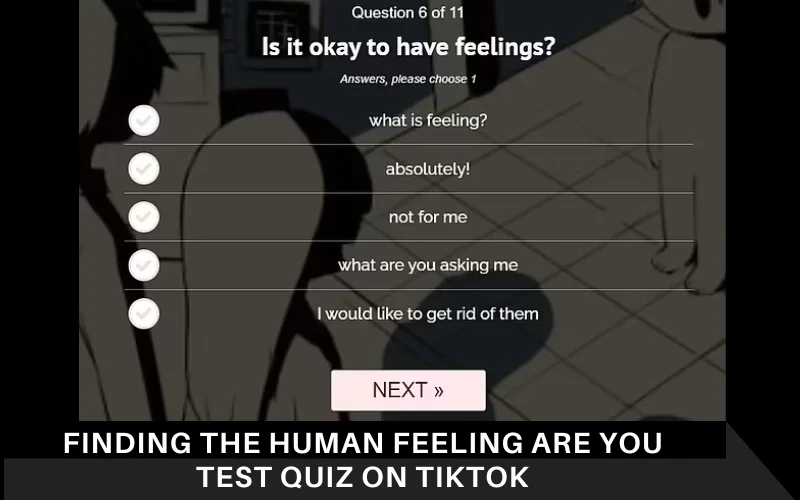 Finding the Human Feeling Are You Test Quiz on TikTok