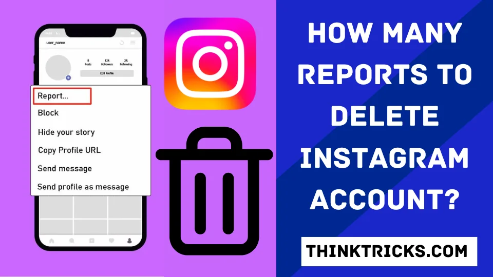 How Many Reports to Delete Instagram Account