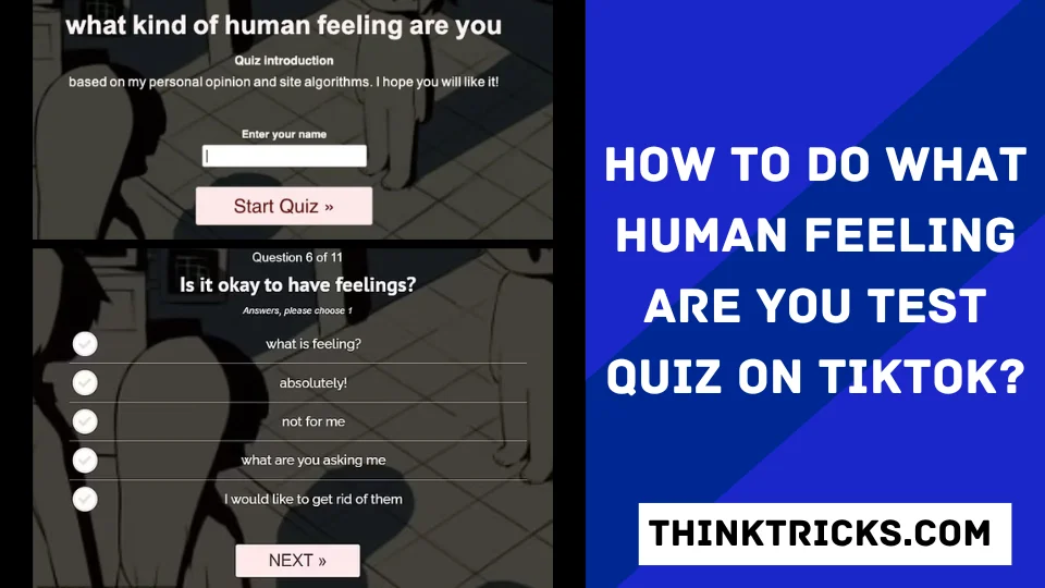 How to Do What Human Feeling Are You Test Quiz On TikTok