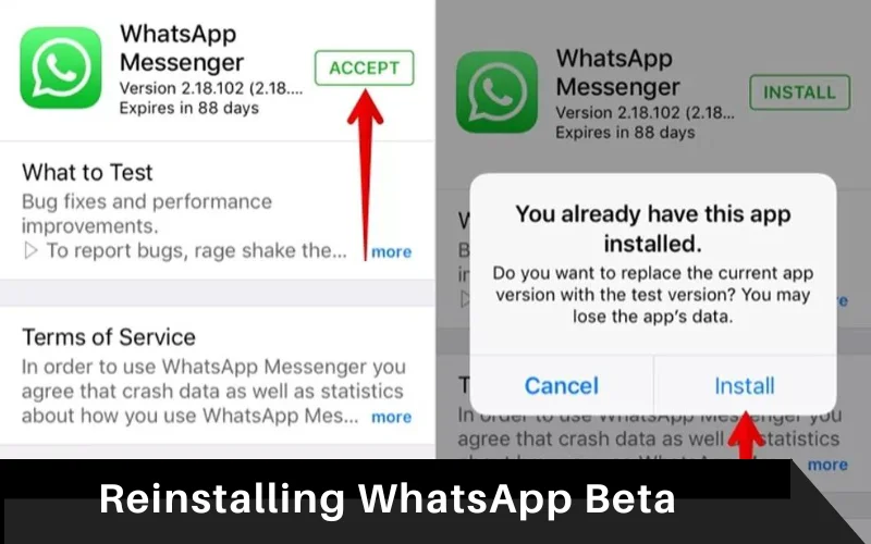 WhatsApp Messages Not Loading - Reinstalling WhatsApp Beta