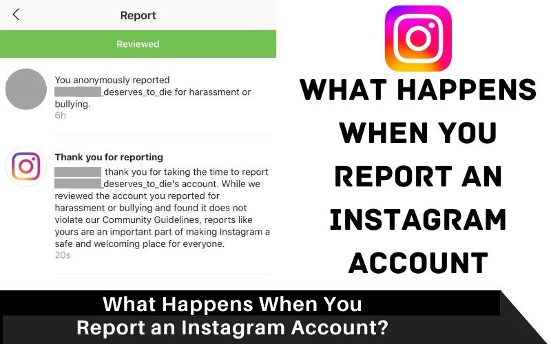 What Happens When You Report an Instagram Account