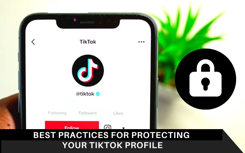 Best Practices for Protecting Your TikTok Profile