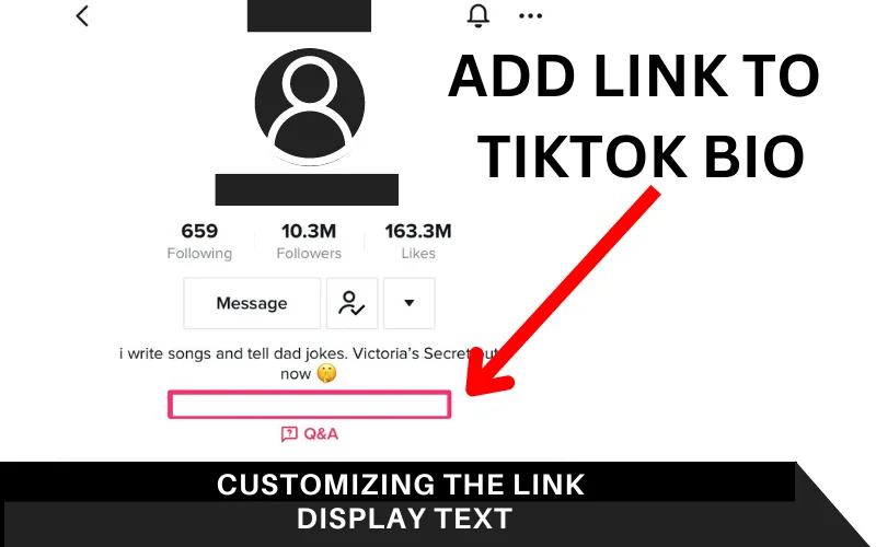 Customizing the Link Display Text