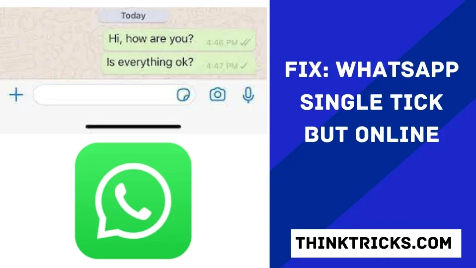 Fix_ WhatsApp Single Tick But Online