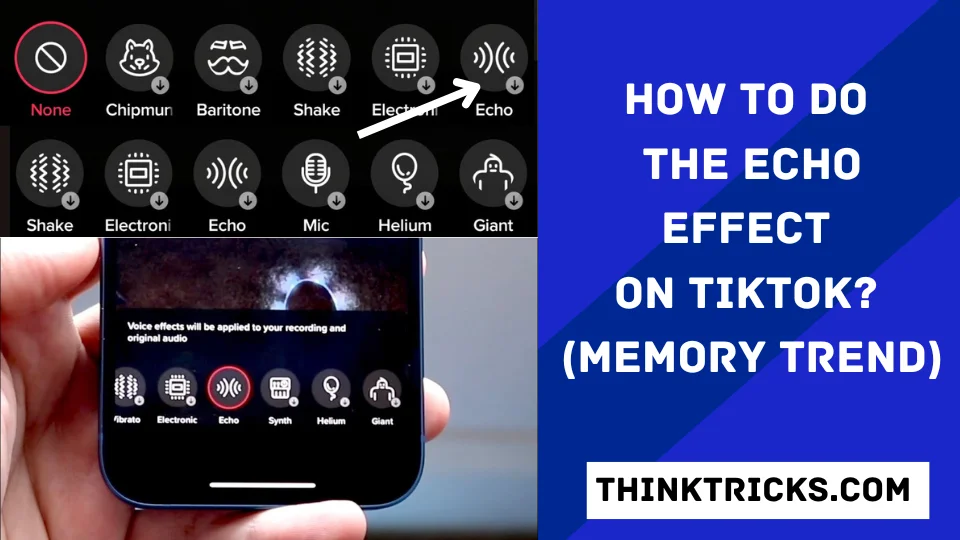 How to Do the Echo Effect On TikTok (Memory Trend)