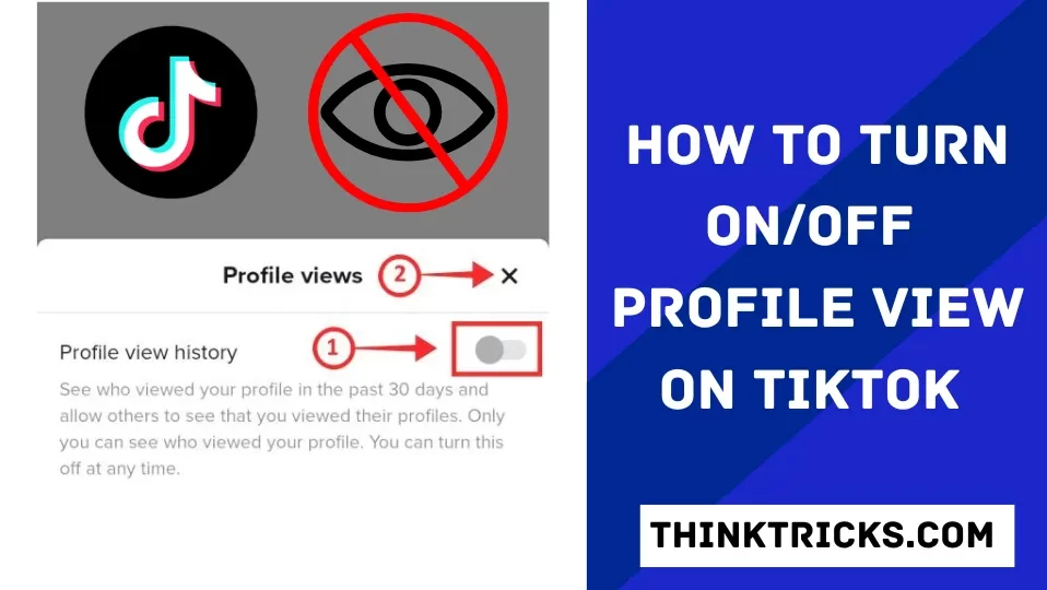 How to Turn ONOFF Profile View On TikTok