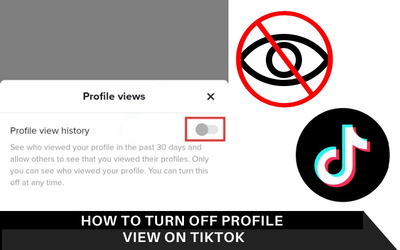 How to Turn Off Profile View on TikTok