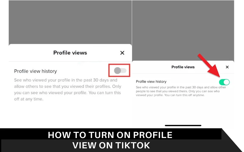 How to Turn On Profile View on TikTok