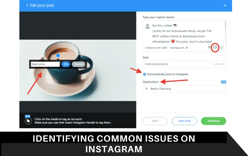 Identifying Common Issues on Instagram