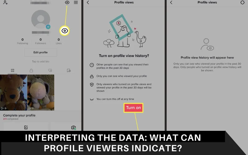 Interpreting the Data_ What Can Profile Viewers Indicate