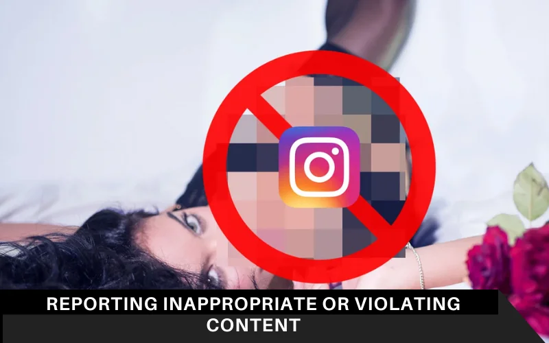 Reporting Inappropriate or Violating Content