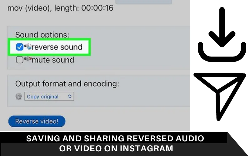 Saving and Sharing Reversed Audio or Video on Instagram